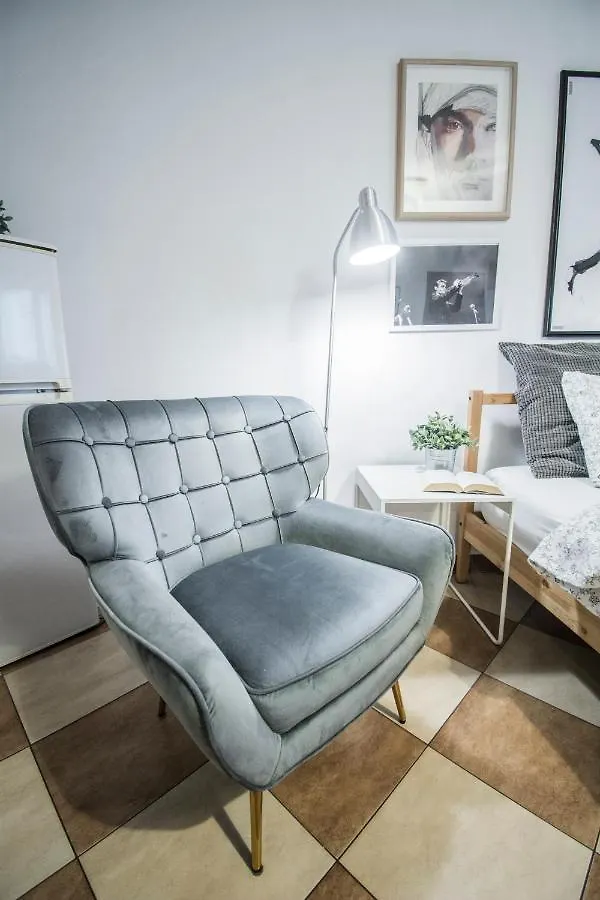 Lion Apartments - Your Own Apartment In Cracow Krakow