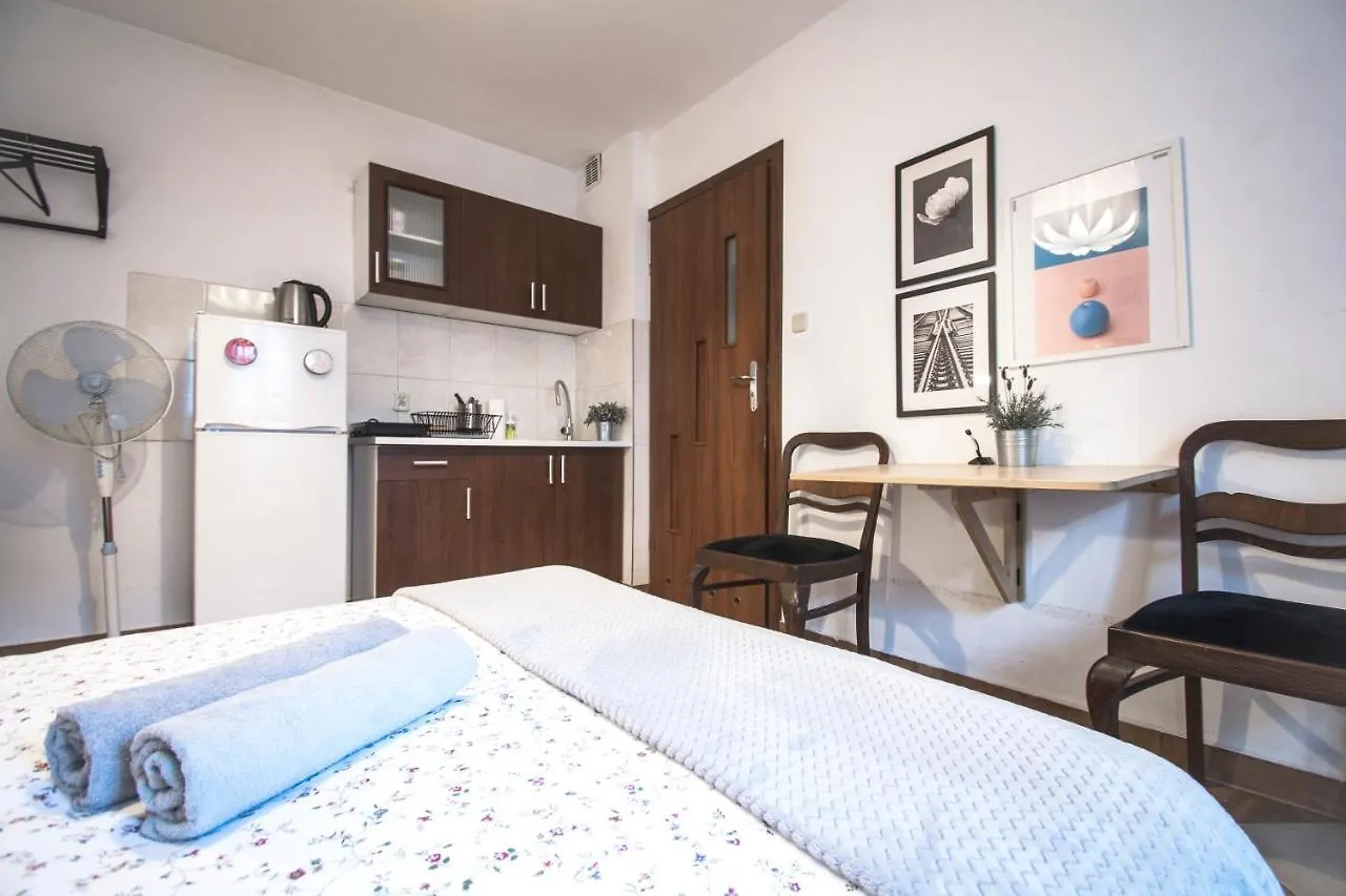 Lion Apartments - Your Own Apartment In Cracow Krakow Poland
