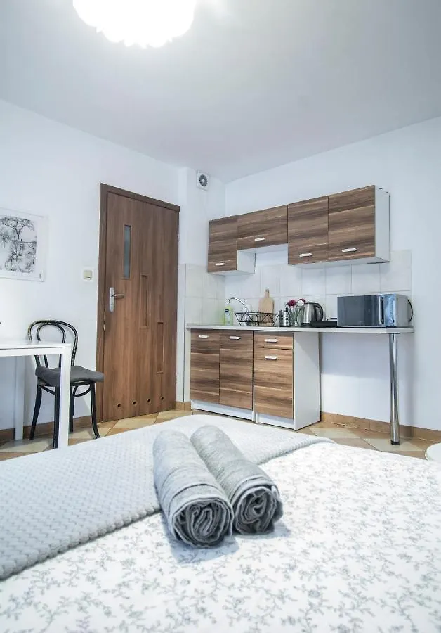Lion Apartments - Your Own Apartment In Cracow Krakow
